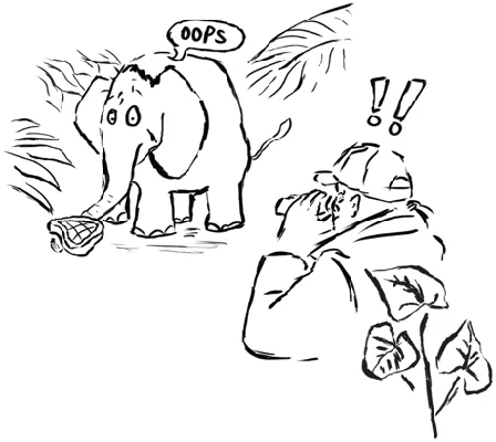 Ilustração: elefante com um bife e um caçador surpreendido